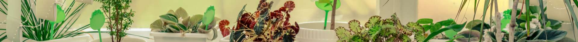 Home & Garden Header