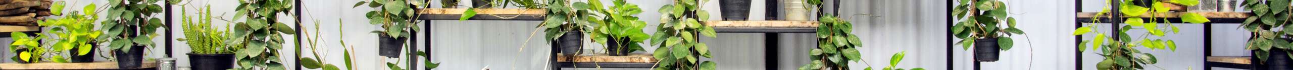 garten-header